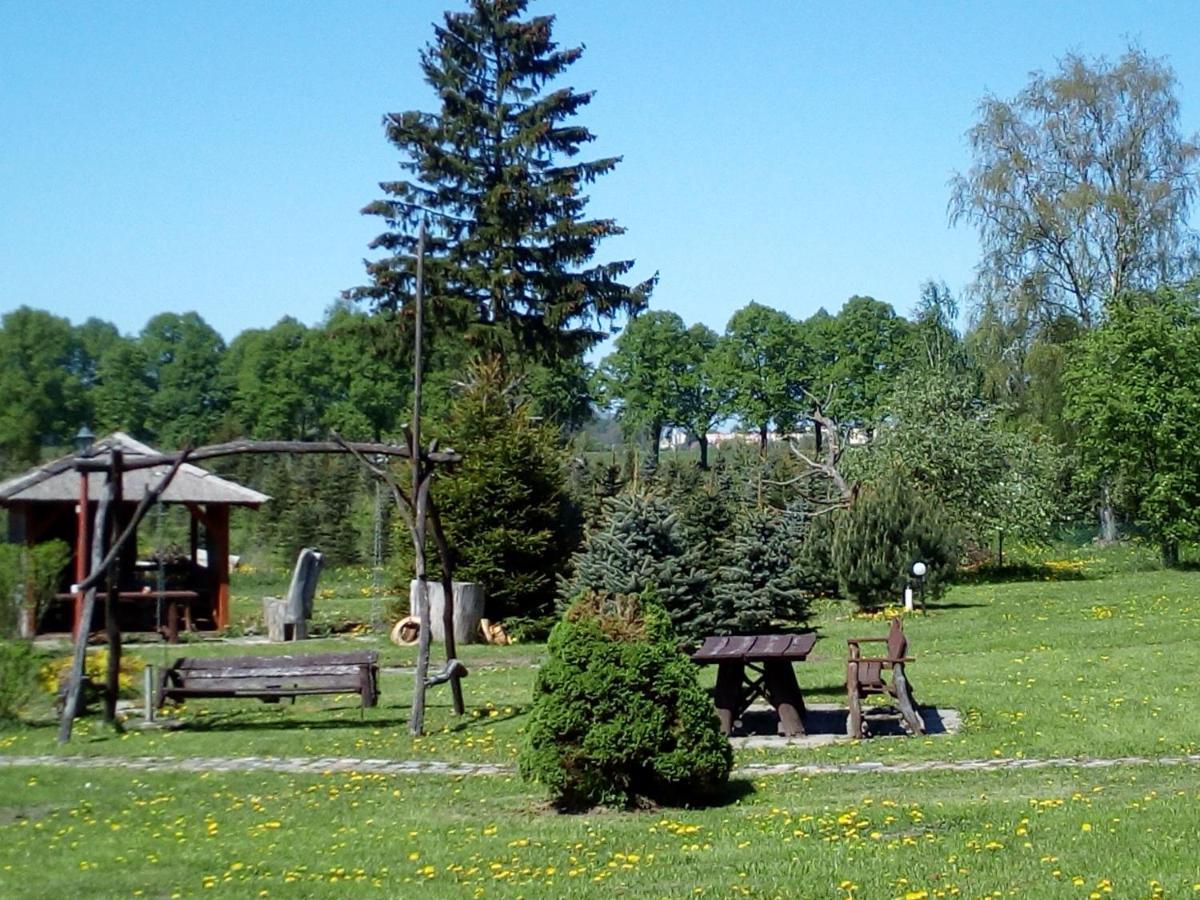 Agroturystyka Andrzejowka Czerniki Extérieur photo