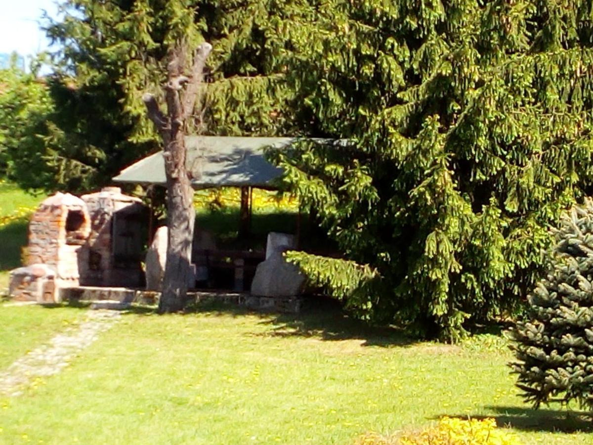 Agroturystyka Andrzejowka Czerniki Extérieur photo