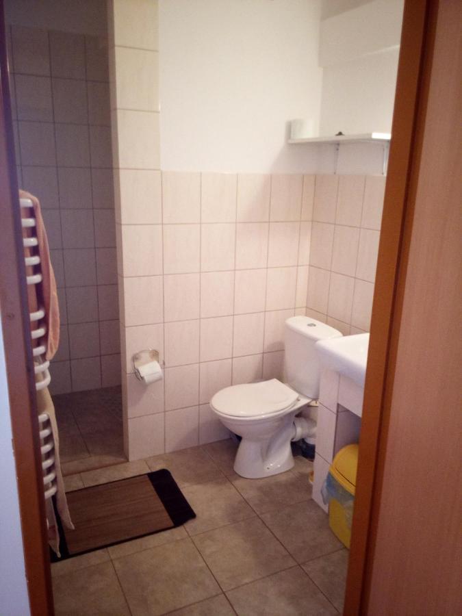 Agroturystyka Andrzejowka Czerniki Extérieur photo