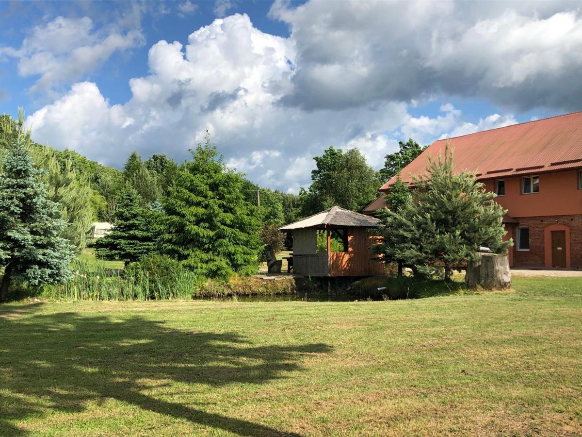 Agroturystyka Andrzejowka Czerniki Extérieur photo